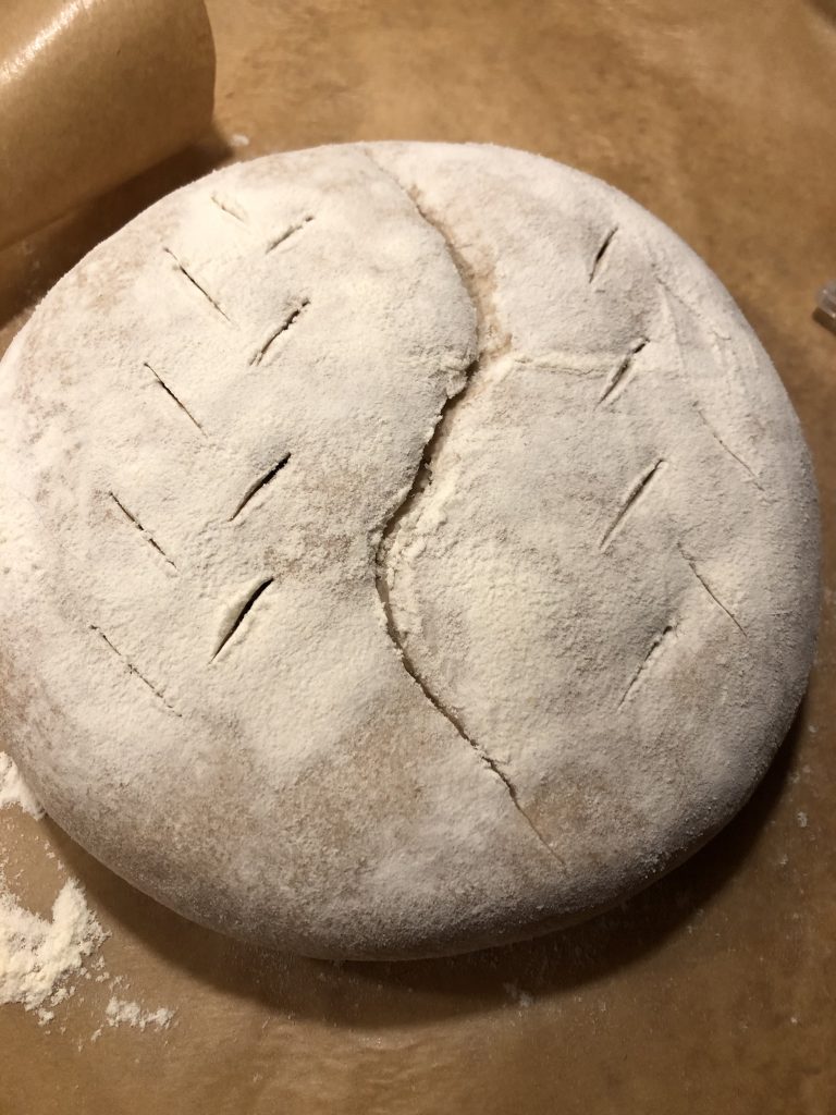 Kovászos kenyér sütés előtt, bevágva